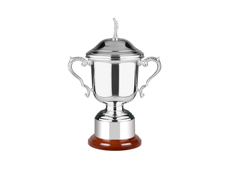 Silver Plated Golf Awards
